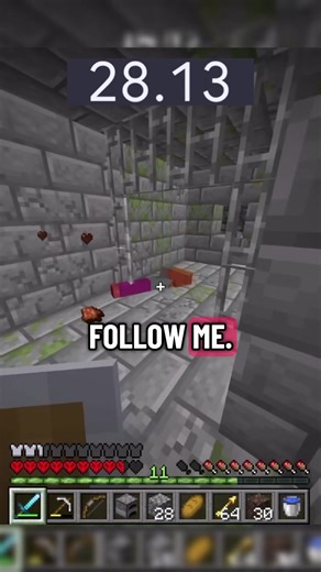 Minecraft: One Minute a Day Challenge to Beat the Game