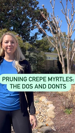 3K views · 58 reactions | The dos and don’ts of pruning Crepe...