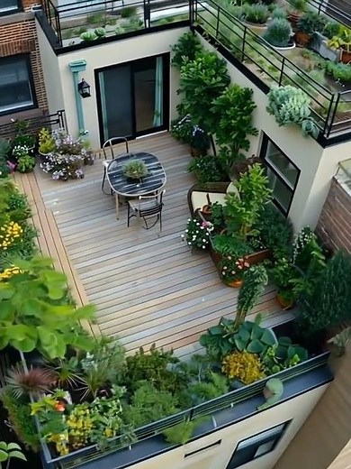 Transform Your Rooftop into a Lush Oasis: How to Design a Stunning Rooftop Garden #garden
