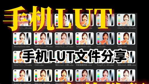 手机安装lut使用教程，拍摄视频软件