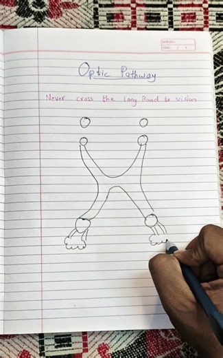 optic pathway #doctor #medicosstuff #mbbs #anatomy #biology #neet #cmbbs