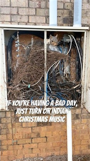 If you’re having a bad day… #shorts