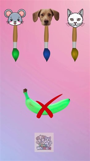 Banana Color Challenge with Mouse, Dog & Cat! 🐭🐶 🐱🍌