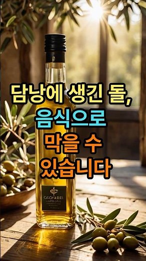 담낭에 좋은 음식 담낭을 지키는 음식 담낭염완화 염증관리 방법
