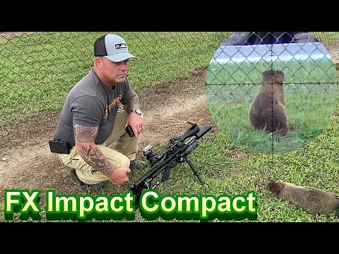 Action Packed Airgun Hunt | FX Impact | Woodchuck and Pigeon Hunting