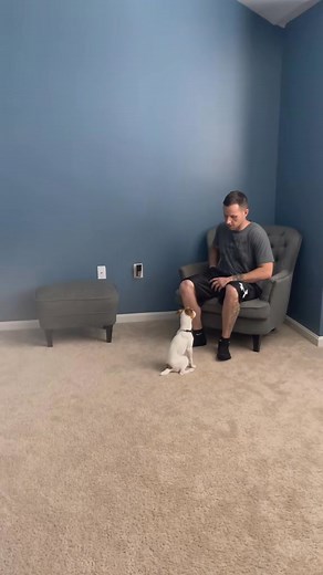 14K views · 145 reactions | The Best Way To CORRECT Bad Behaviors...