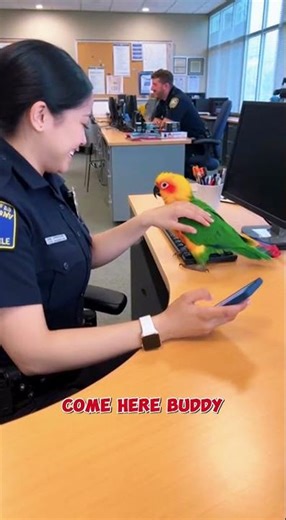Watch This Parrot Totally Obsessed with a Mobile!