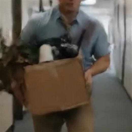 Turn Any sentence Into A Working App In Minutes. Speed Isn't a Luxury Anymore. It's a Survival Skill. The truth? Most people will never build what they dream about. Not because they’re lazy. Not because they’re stupid. Because they’re slow. The second you have an idea, you’re racing against the clock. Against other founders. Against the market. Against your own doubt. And 99% of people lose that race before they even realize they’re in it. The game was rigged against them... until Famous.ai rewr