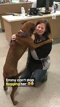 Her dog was ALIVE all this time 😭❤️