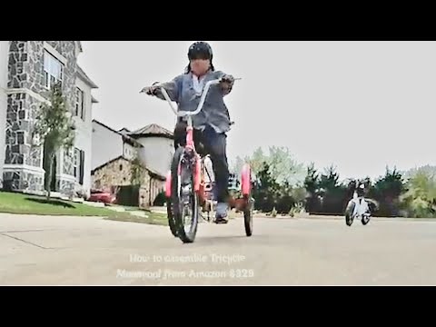 How to assemble mooncool tricycle