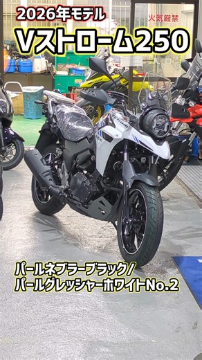 [2026 Model] V-Strom 250 —New White Color Available—