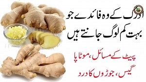1.6M views · 41K reactions | Adrak (Ginger) Khane ke fayde aur nuksan. Adrak se Ilaj. | Desi Nuskhe | Facebook