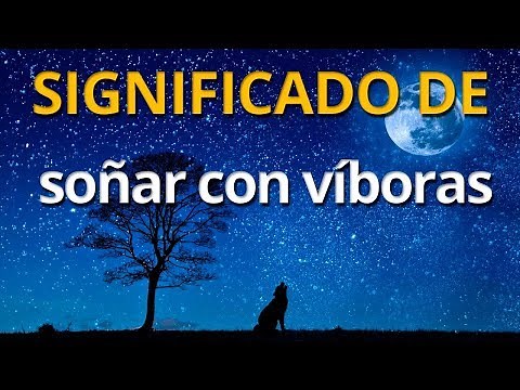 Que significa soñar con víboras 💤 Interpretación de los Sueños
