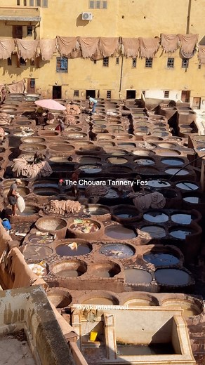 Yakup Taş on Instagram: "The Chouara Tannery is one of the most famous and historic leather production centers in Fes, operating since the 11th century using traditional methods. Located in the old city (medina) of Fes, this tannery is known for its large stone pits and colorful dyeing pools used for processing animal hides. Lamb, goat, camel, and cow hides are particularly processed and dyed here. It is common for visitors to bring mint with them when visiting this area. The reason for this is