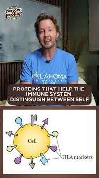 What Is A Stem Cell Transplant and How Are Matches Determined?