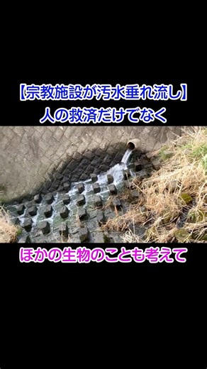 [Religious facility dumping sewage] Think also about other living things.