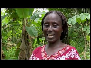 La technologie au service de l’agriculture *** économie - BBC Afrique