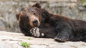 Stock Market Correction Fears? Face Them With This Correction Checklist That Helps Gauge Its Severity