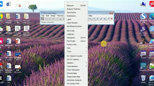Fiji使用教程-1 基础功能介绍