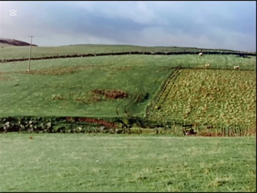 Linda McCartney: Heart of the Country Film Insights
