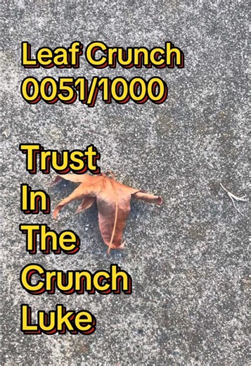 Leaf Crunch ASMR: Experience Nature's Sounds