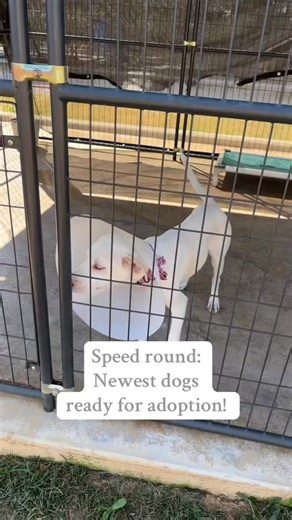 4.4K views · 125 reactions | Meet the newest faces of hope! These...