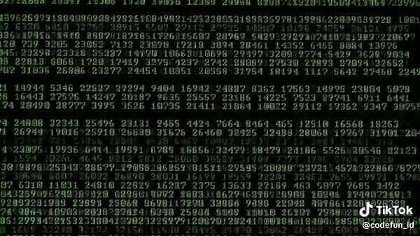 apa itu data dummy #coding #data