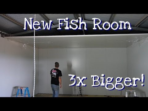 Building My DIY Fish Room!