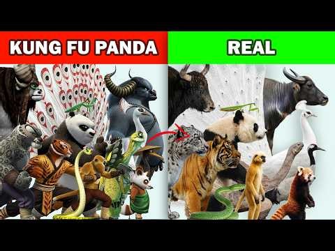 Kung Fu Panda Characters vs Real World Animals Compared