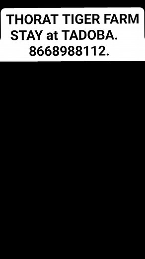 11 reactions | 8668988112 contact us for tadoba safari booking and...