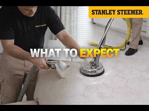 What to Expect When You Book Stanley Steemer | Step-by-Step Cleaning Experience