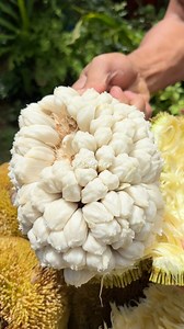 Marang fruit | Glademer