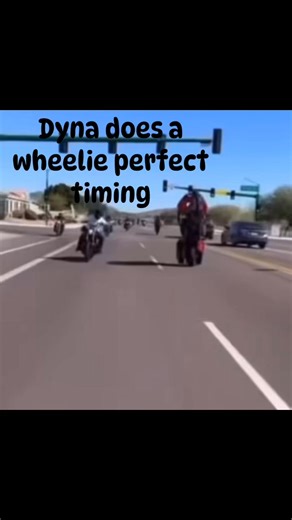 Dyna does a wheelie perfect timing 🏍️💨 #Respect #bikers #harleydavidson #Dyna American Harley | American Harley