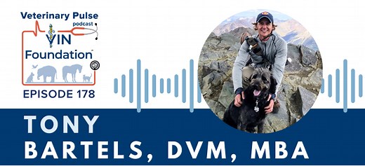 Veterinary Pulse Podcast - VIN Foundation