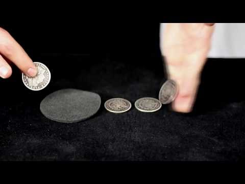 Expanded Shell By Roy Kueppers