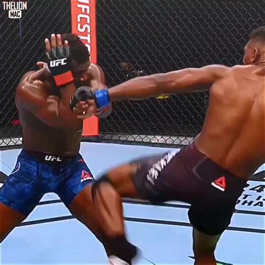 One of the best knockouts by one of the worst fighters in the ufc #ufc #ufcknockouts #fights #Spinningbackkick #taekwondo #brawlers