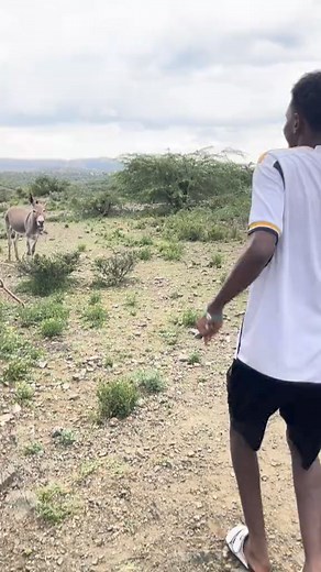 #ethiopian_tik_tok #OROMIYAAN_BIYYA #Ethiopians #EthioHabesha #oromoculture #Ethiopia #MoMusic #habesha #Oromiyaa #oro | Boku Onnee Sabaa