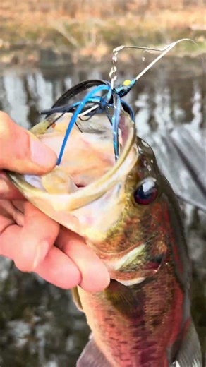Nice bass on the strike king mini🔥 #fishing #catchandrelease
