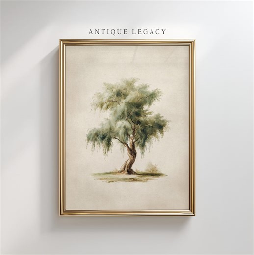 Weeping Willow Tree Printable Wall Art, Nature Botanical Illustration (Digital Download) - 788