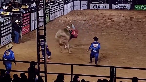 Bullrider trampled to death while performing at Brazil rodeo