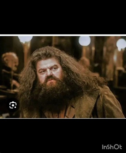 Rubeus Hagrid❤ #the protector of the Golden trio✨