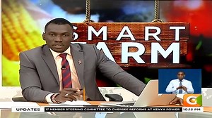 4.1K views · 170 reactions | Smart Farm Kitengela YouTube farming coach #JKLive | Citizen TV Kenya | Facebook