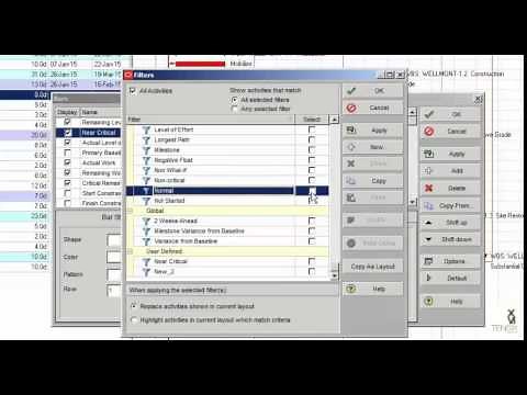 Monitoring Near Critical Activities In Primavera P6