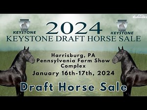 Sale of Daft Horses - 2024 Keystone Draft Horse Sale