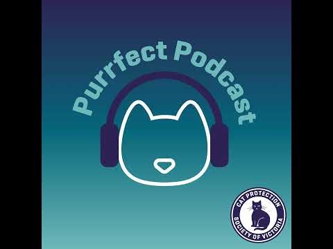 Free tips on how to modify behavioural challenges in your cat