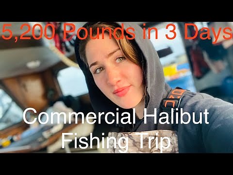 Commercial Fishing for Halibut August 2023