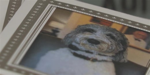 Funeral home mourning ‘once-in-a-lifetime’ dog who comforted grieving families for years