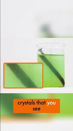 Time-Lapse Copper Crystals: See Science Work Its Magic!