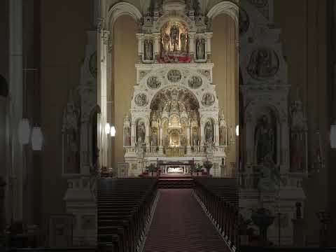 Drone Tour Inside St. Michael’s Cathedral Chicago