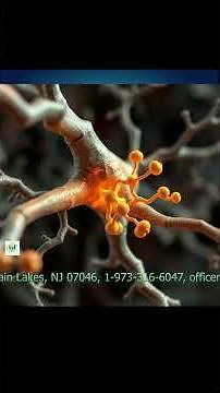 Demystifying Neurotransmitters: The Role of Tryptophan in Attention and Mood
